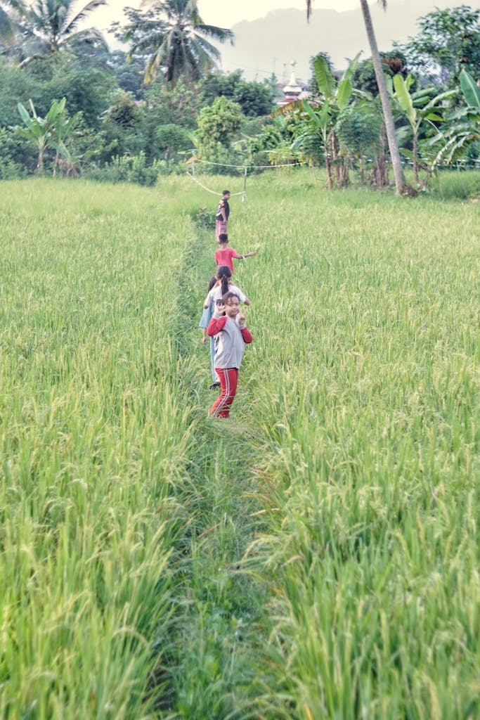 Children playfully running through lush rice fields in West Java, Indonesia, enjoying a bright day outdoors.